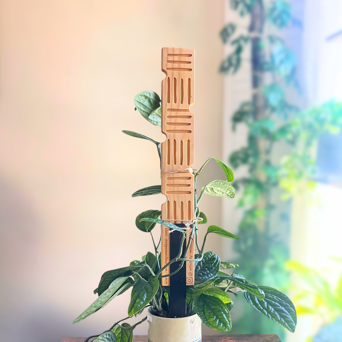 Hashline - Decorative Plant Trellis