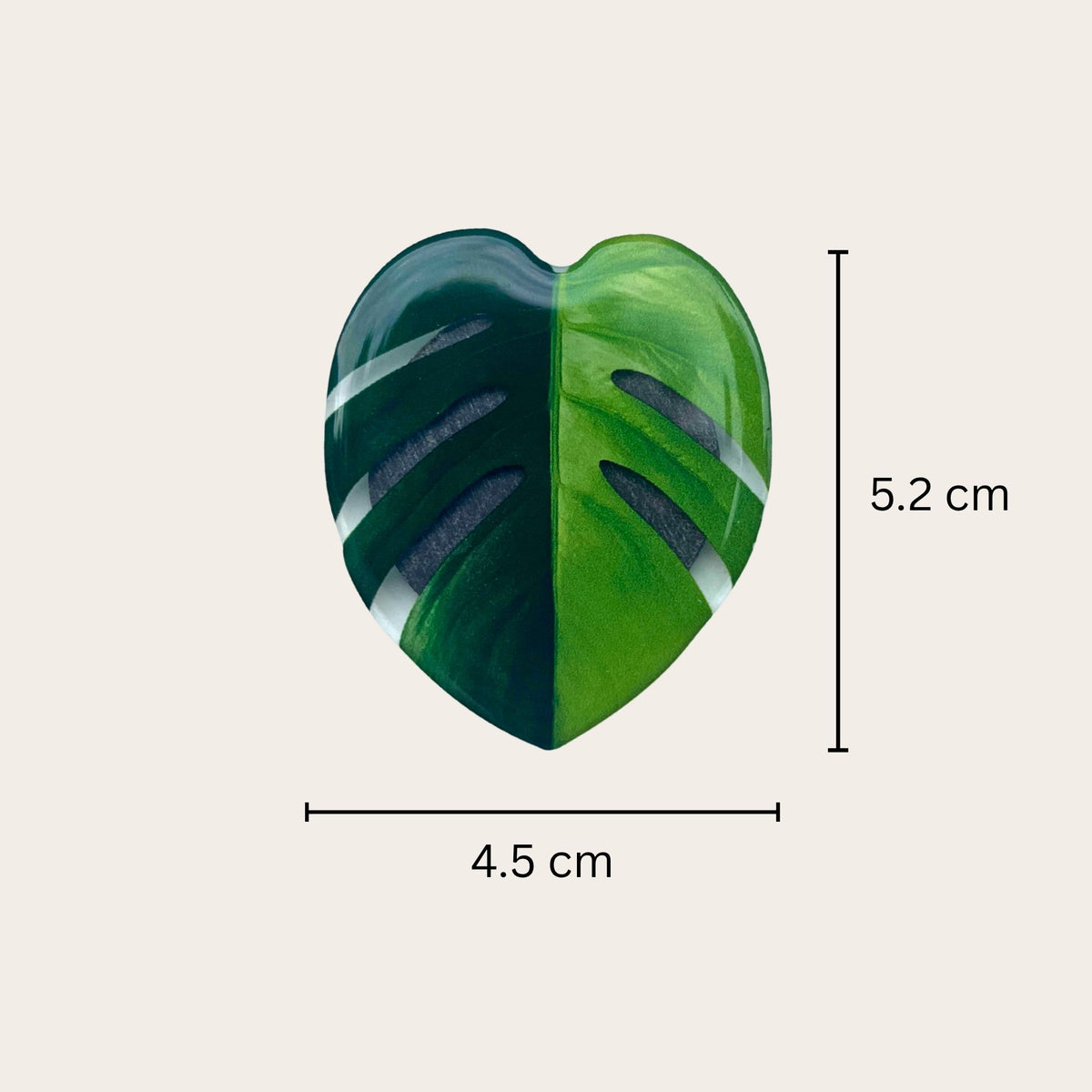 Plant leaf fridge magnets