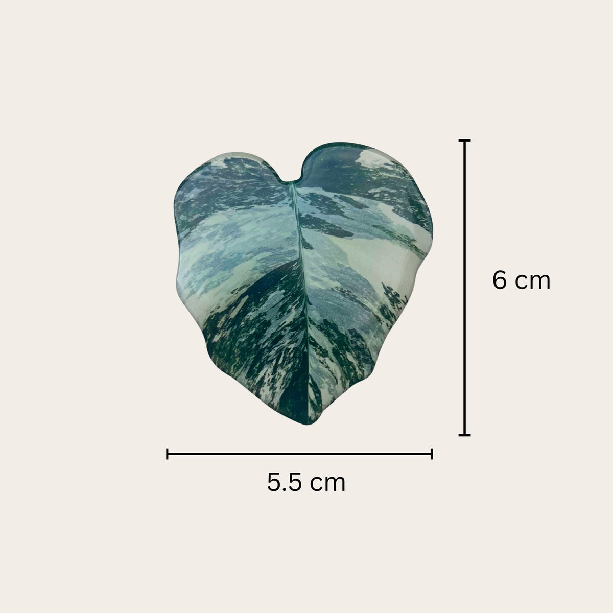 Plant leaf fridge magnets