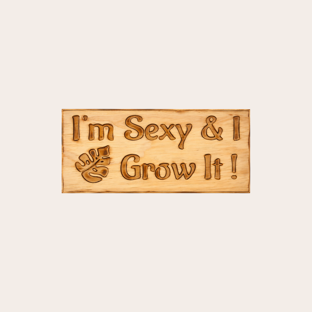 I’m Sexy & I Grow It – Handcrafted Wall Sign