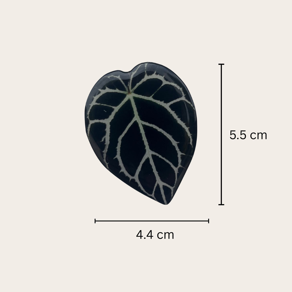 Plant leaf fridge magnets