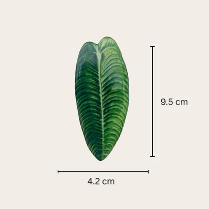 Plant leaf fridge magnets