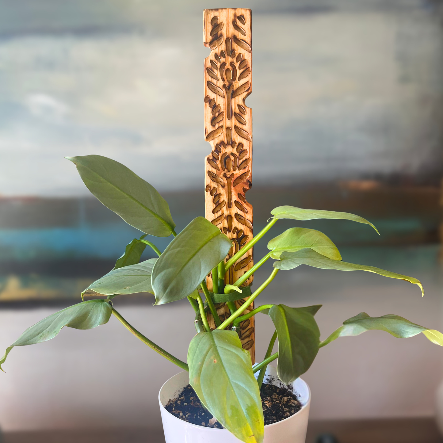Aura — Decorative Plant Trellis