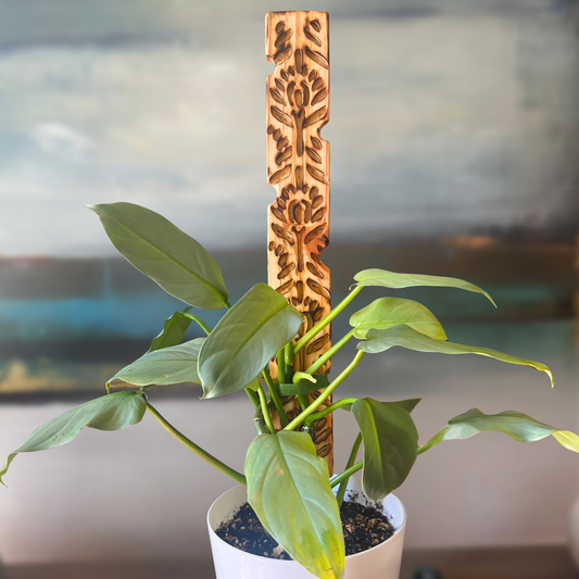 Aura — Decorative Plant Trellis