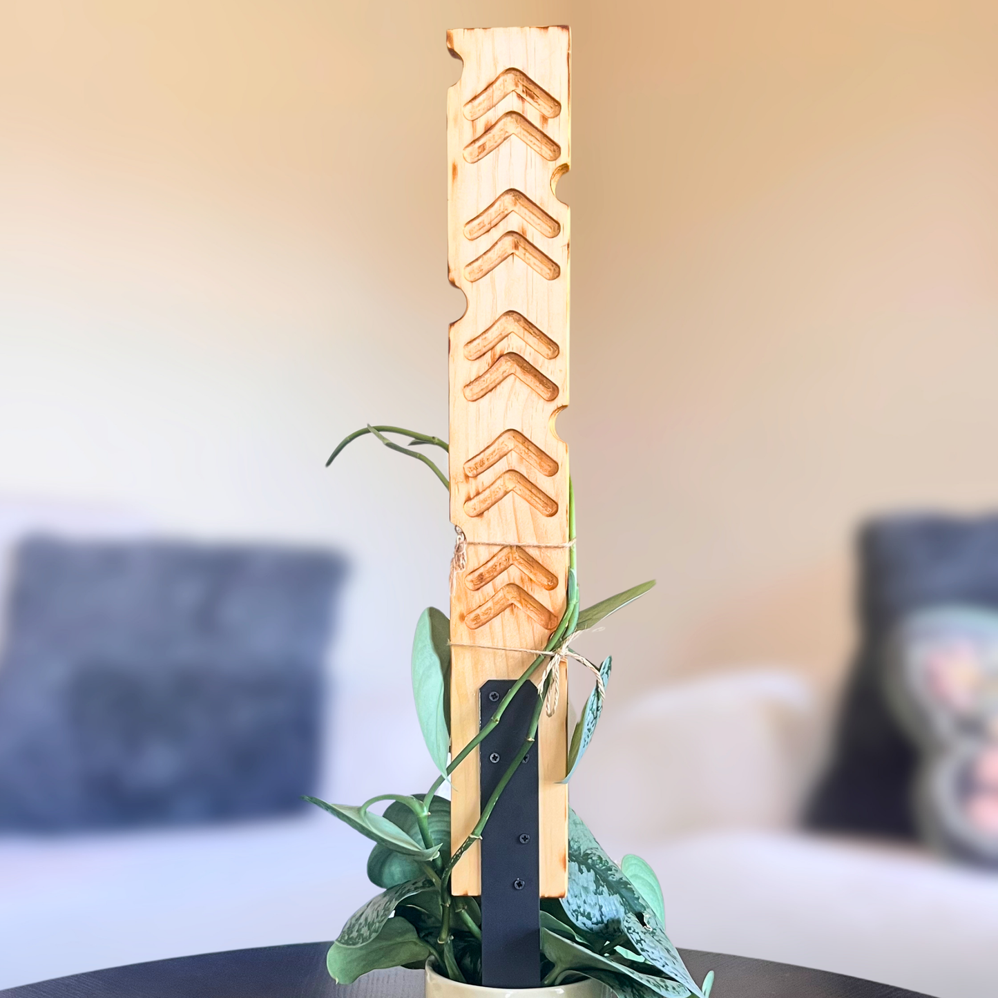 Chevy - Decorative Plant Trellis