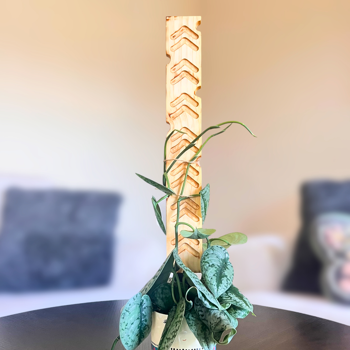 Chevy - Decorative Plant Trellis