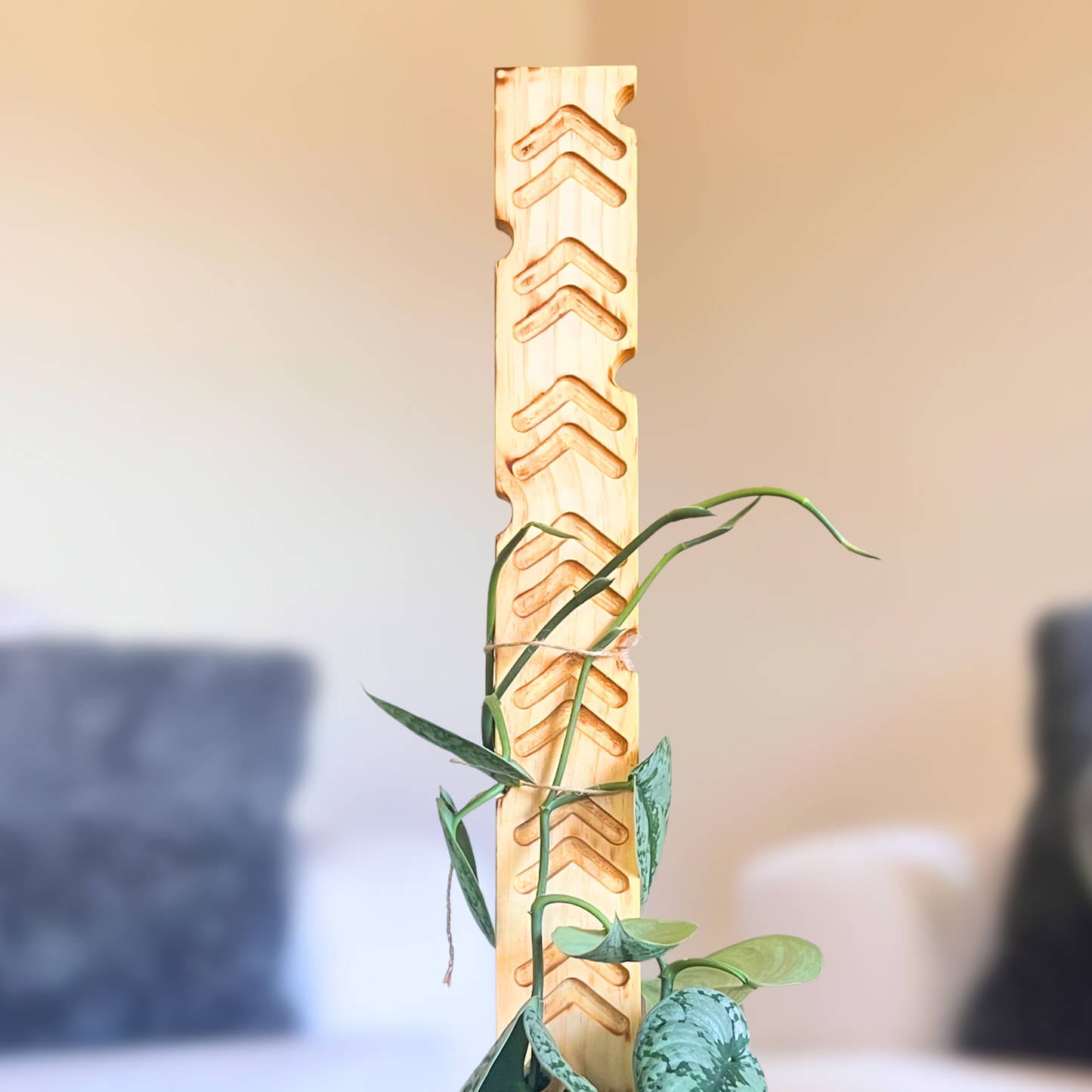 Chevy - Decorative Plant Trellis