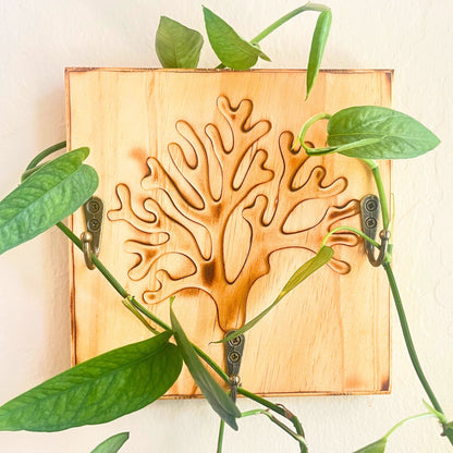 Large Wall Plant Trellis & Key Holder