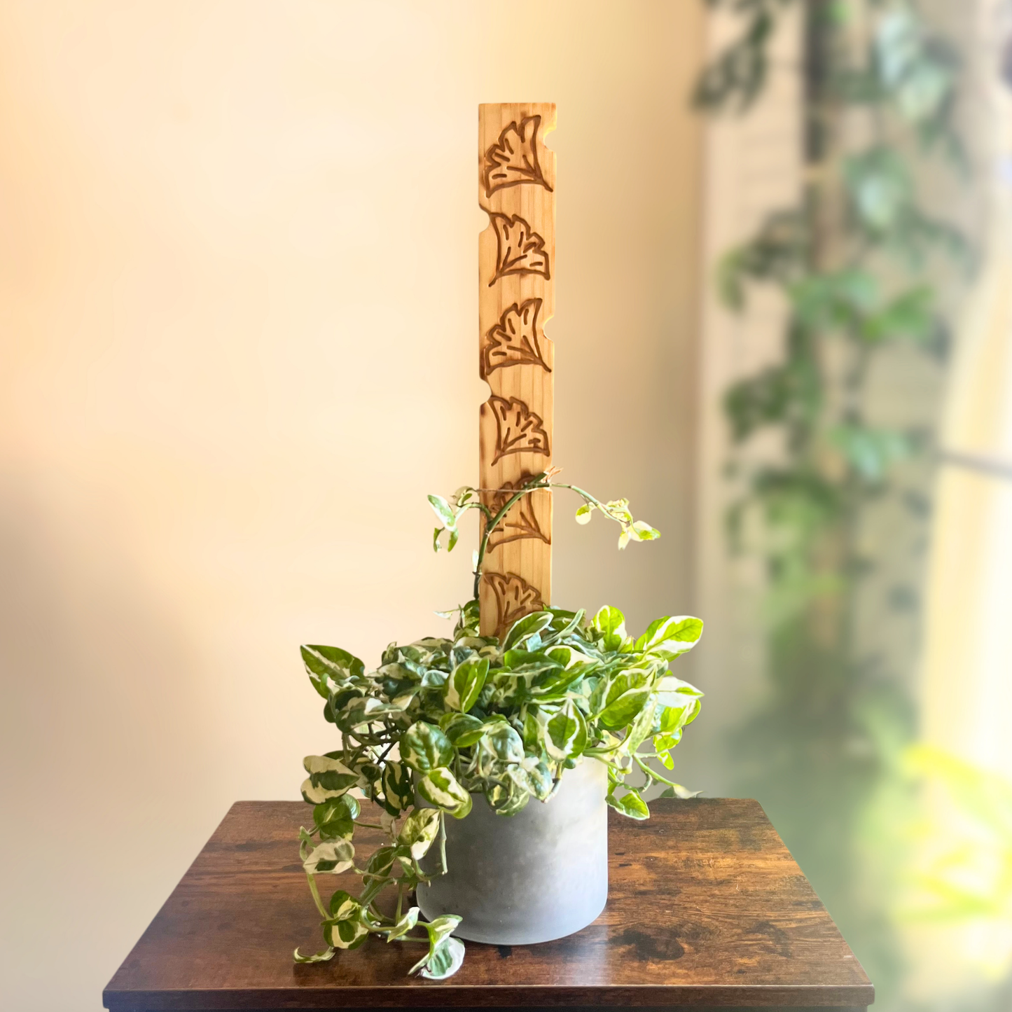 Ginkgo — Decorative Plant Trellis