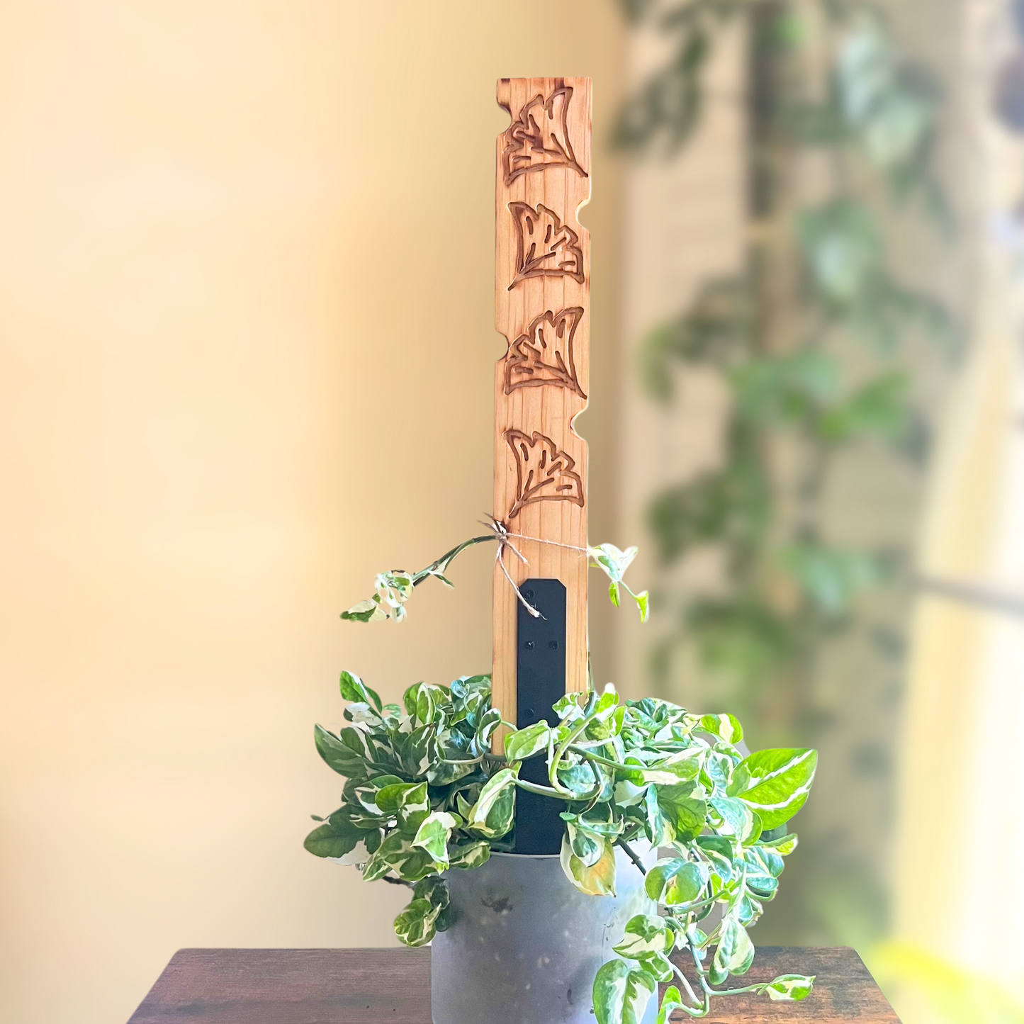 Ginkgo — Decorative Plant Trellis