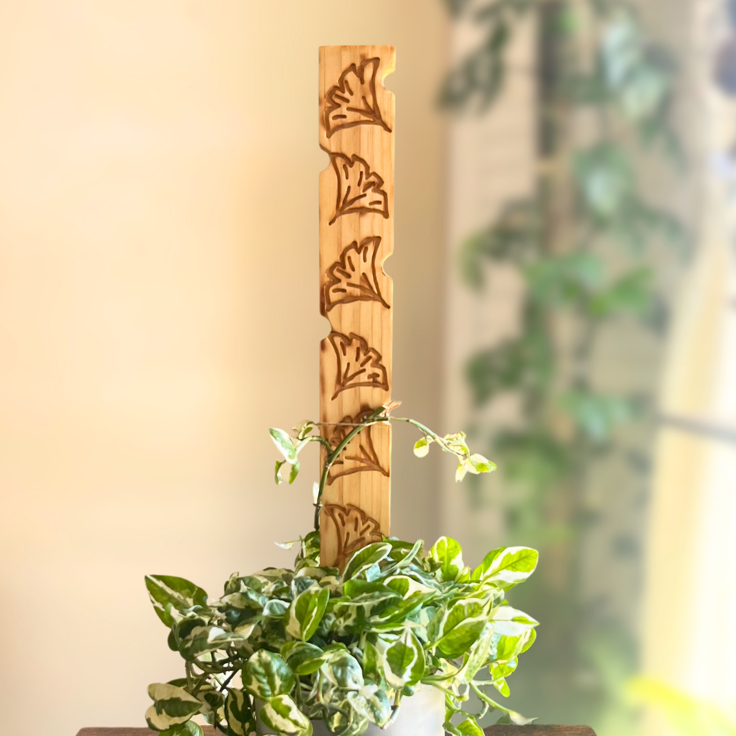 Ginkgo — Decorative Plant Trellis