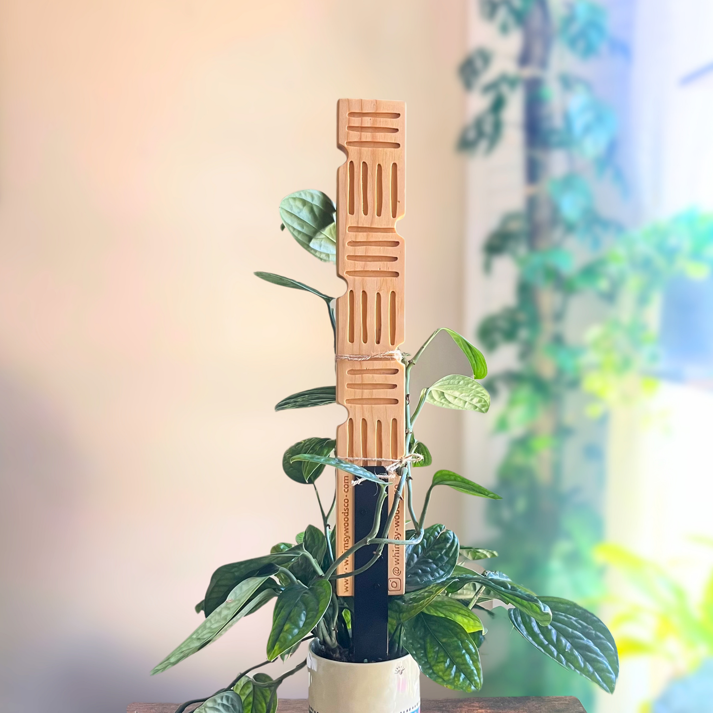 Hashline — Decorative Plant Trellis
