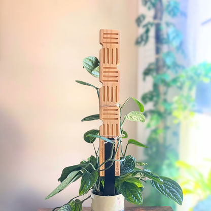 Hashline - Decorative Plant Trellis
