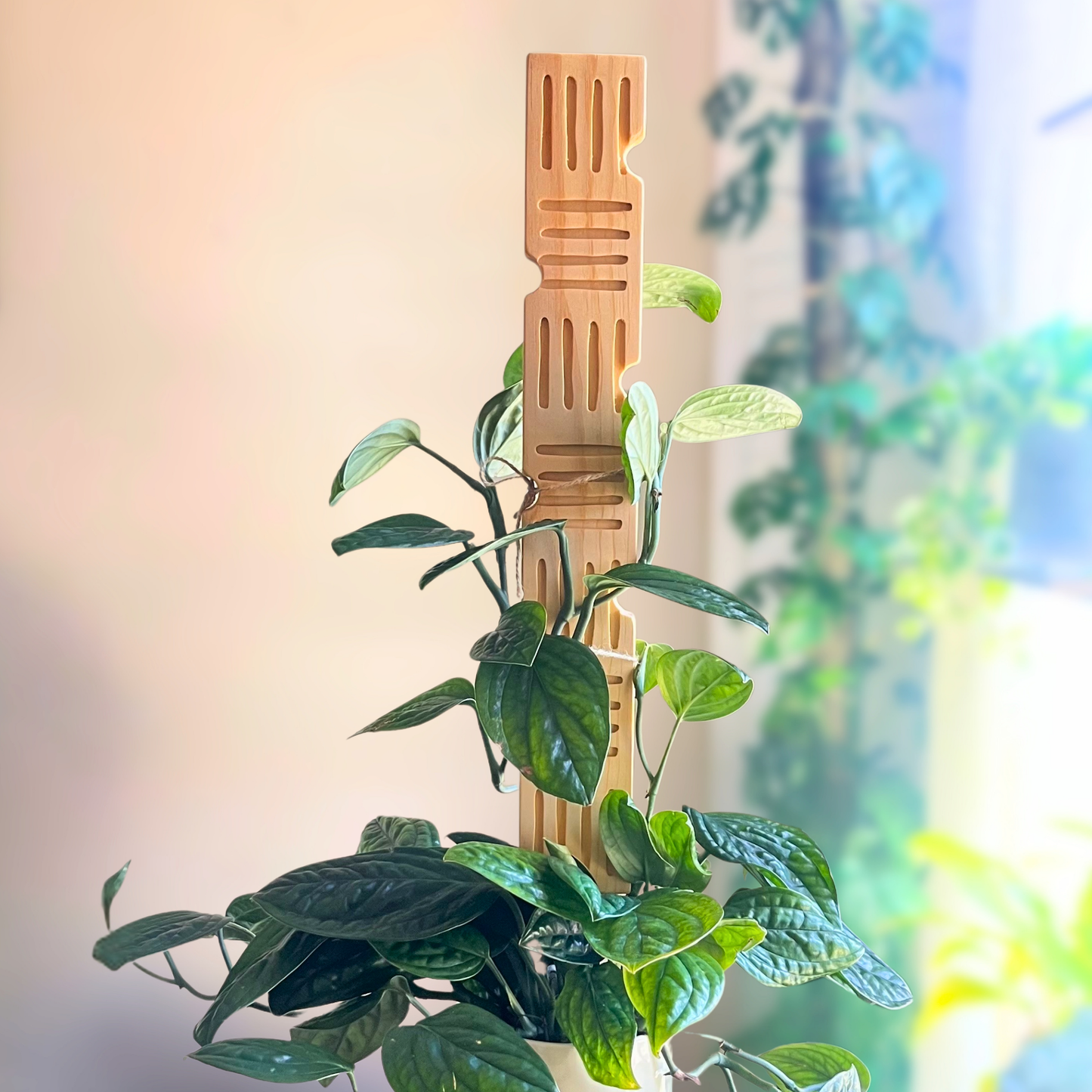 Hashline — Decorative Plant Trellis