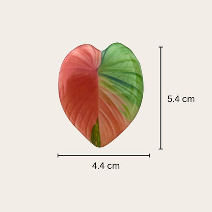 Plant leaf fridge magnets