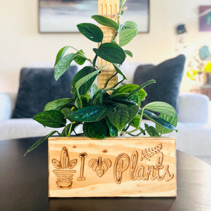 I love Plants - wall decor | wall sign | plant decor