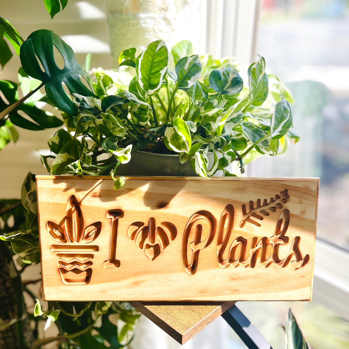 I love Plants  - wall decor | wall sign | plant decor | decor on the shelf