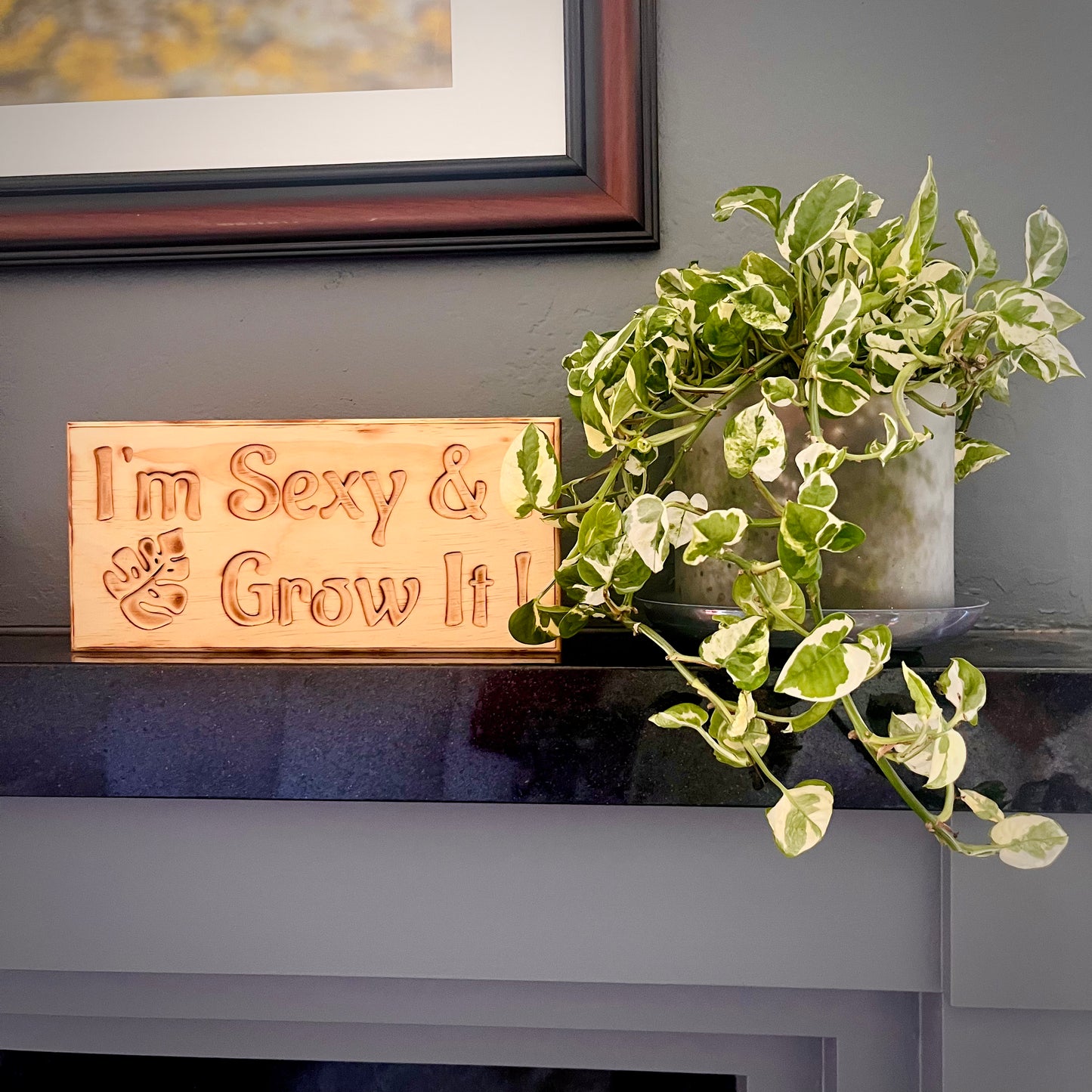 I'm sexy & I grow it plant lover wooden sign on a chimney