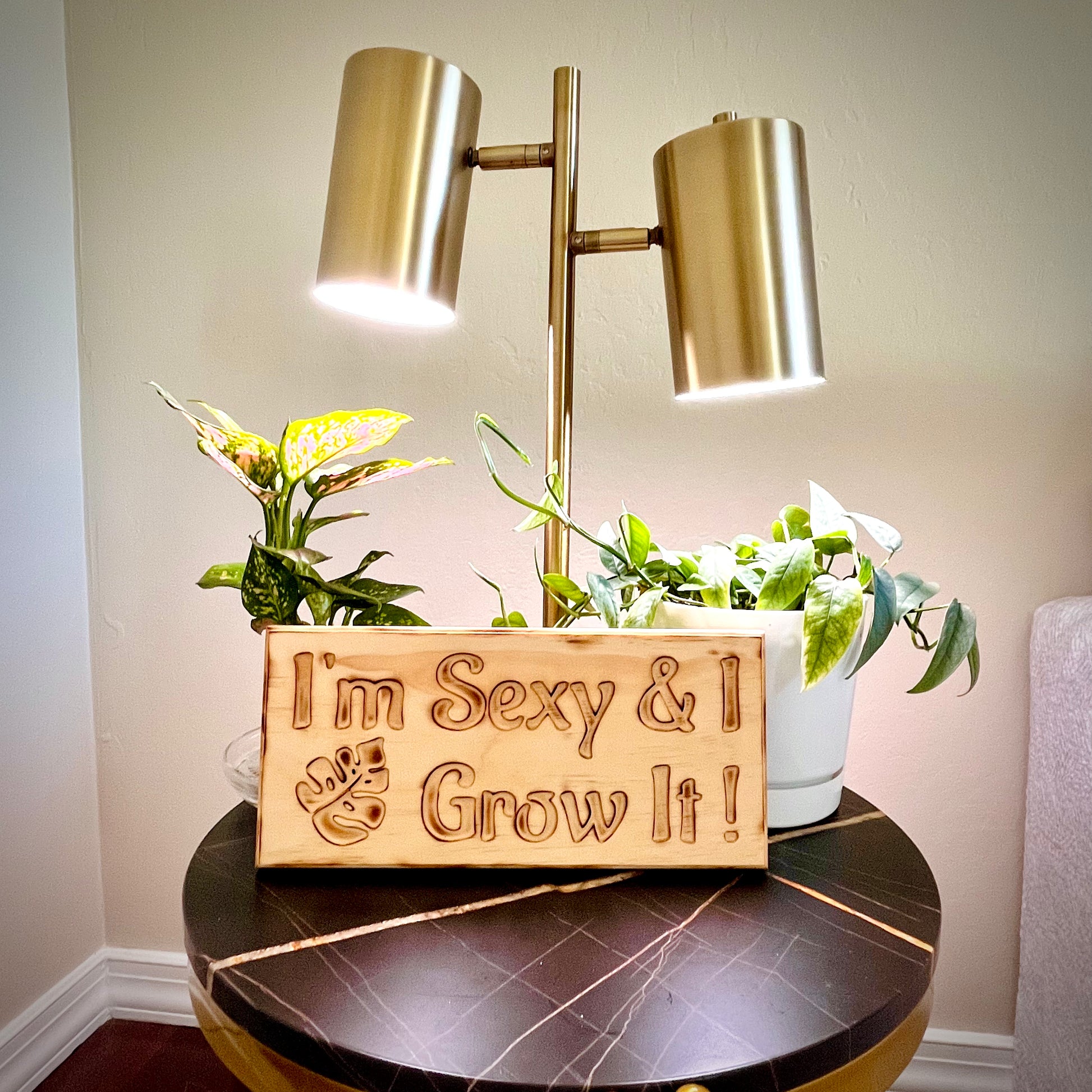I'm sexy & I grow it plant lover wooden sign on a table