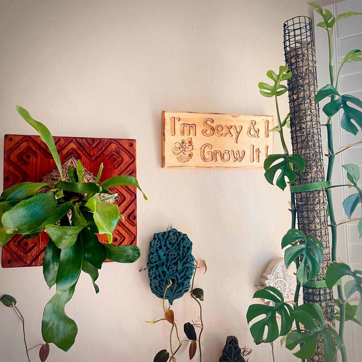 I'm sexy & I grow it plant lover wooden sign on a wall