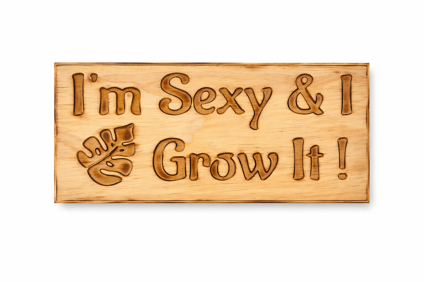 I'm sexy & I grow it plant lover wooden sign on a white background
