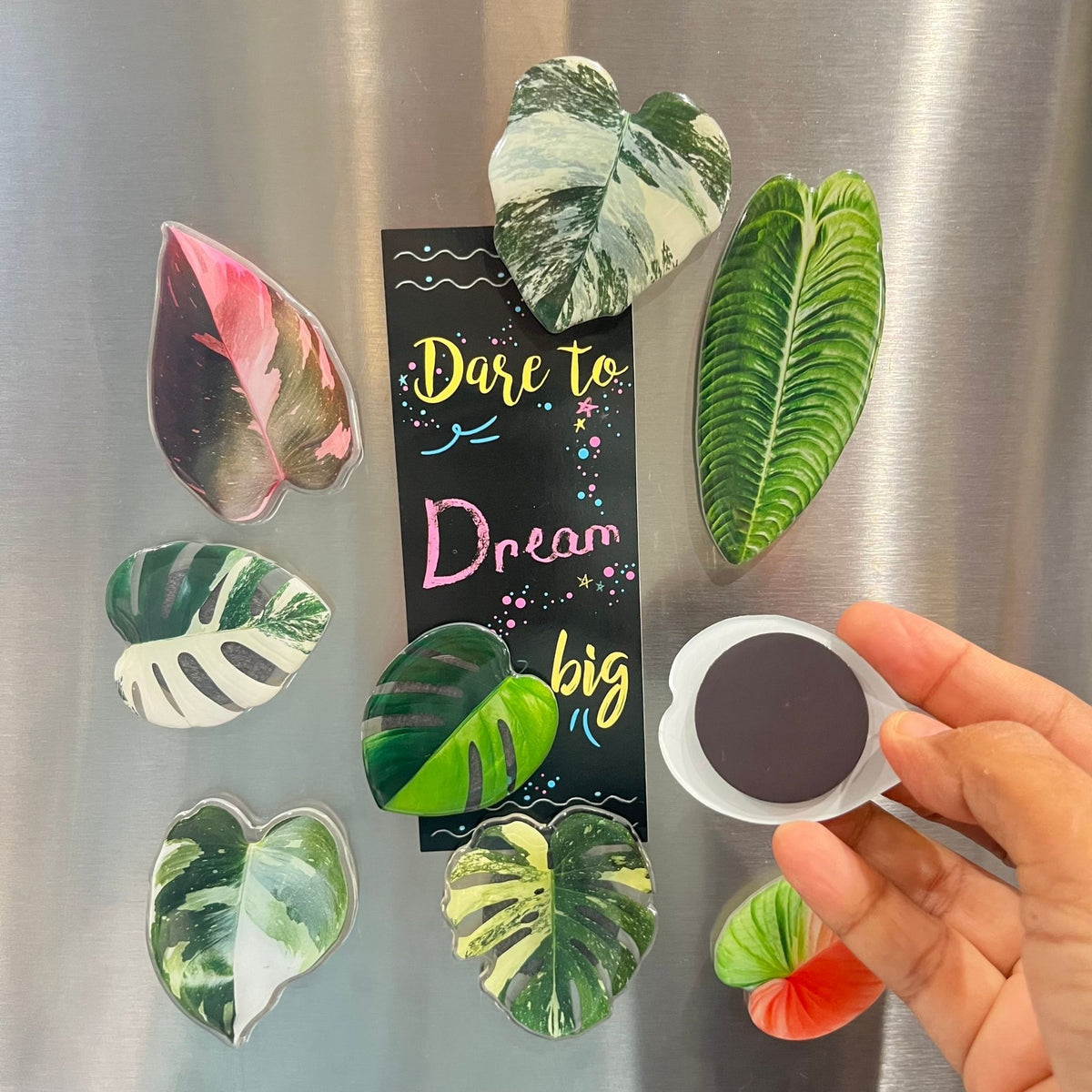 Plant leaf fridge magnets