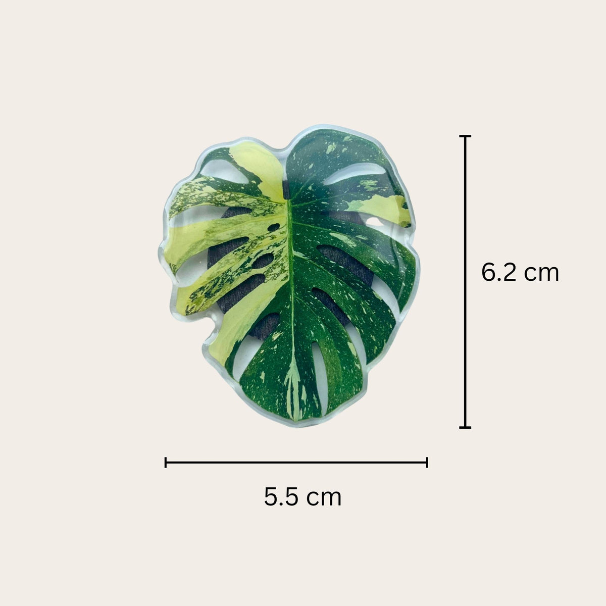 Plant leaf fridge magnets