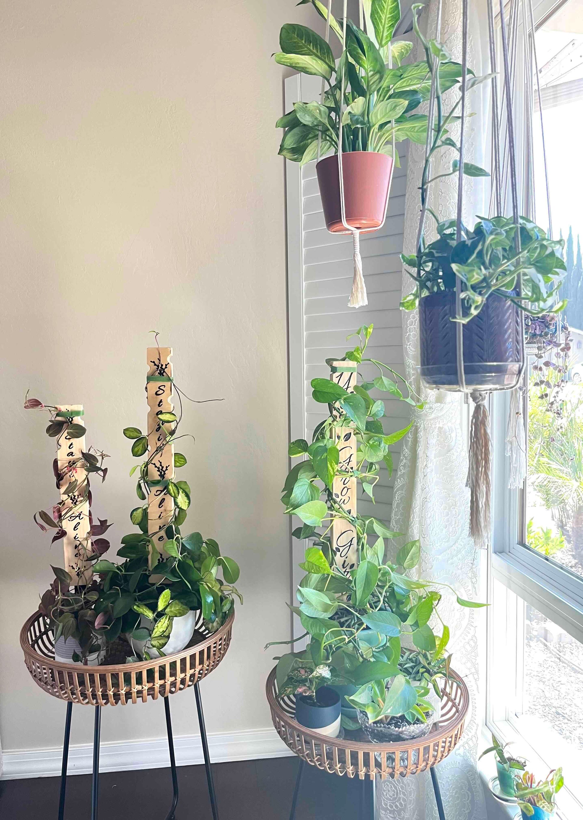 Decorative plant stakes carved in wood