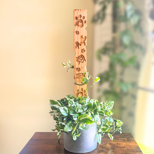 Companion - Decorative Plant Trellis