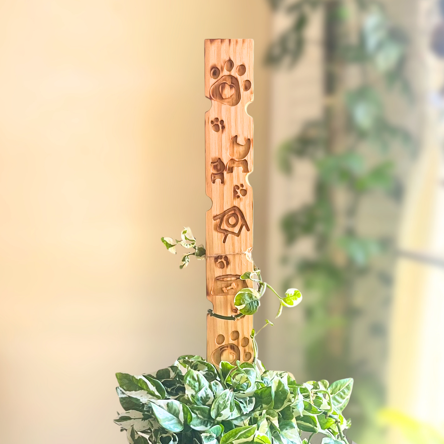 Companion - Decorative Plant Trellis