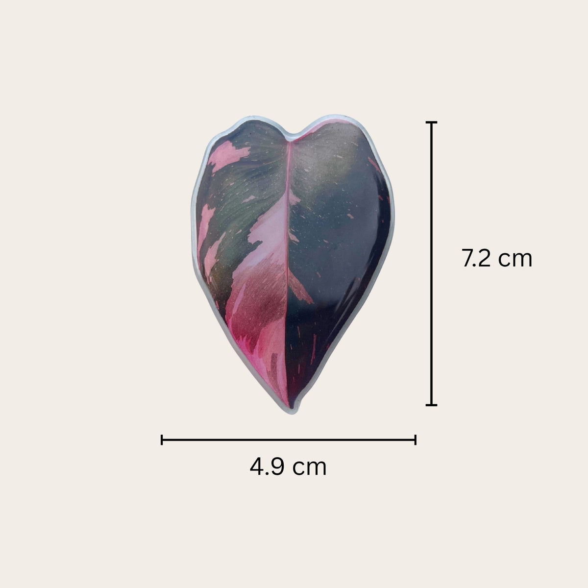 Plant leaf fridge magnets