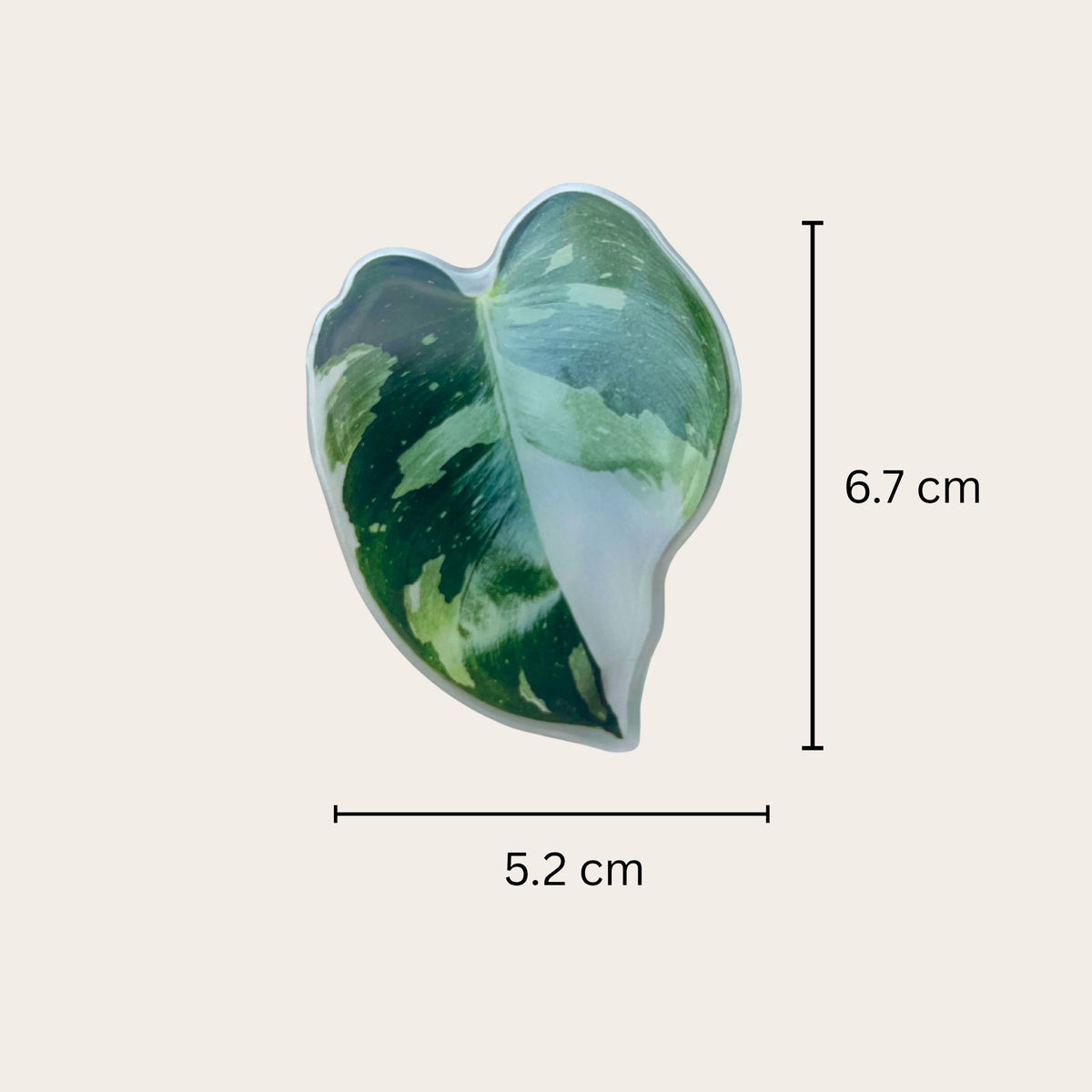 Plant leaf fridge magnets