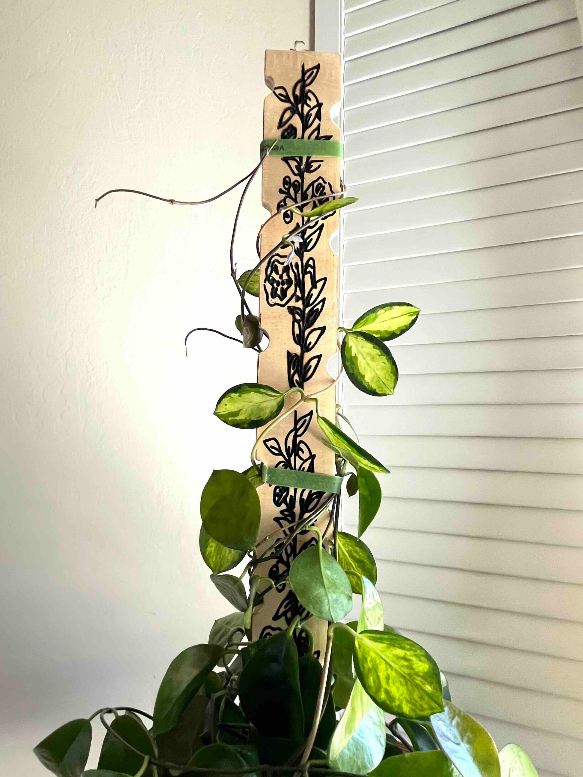 Stylish plant stake carved in wood