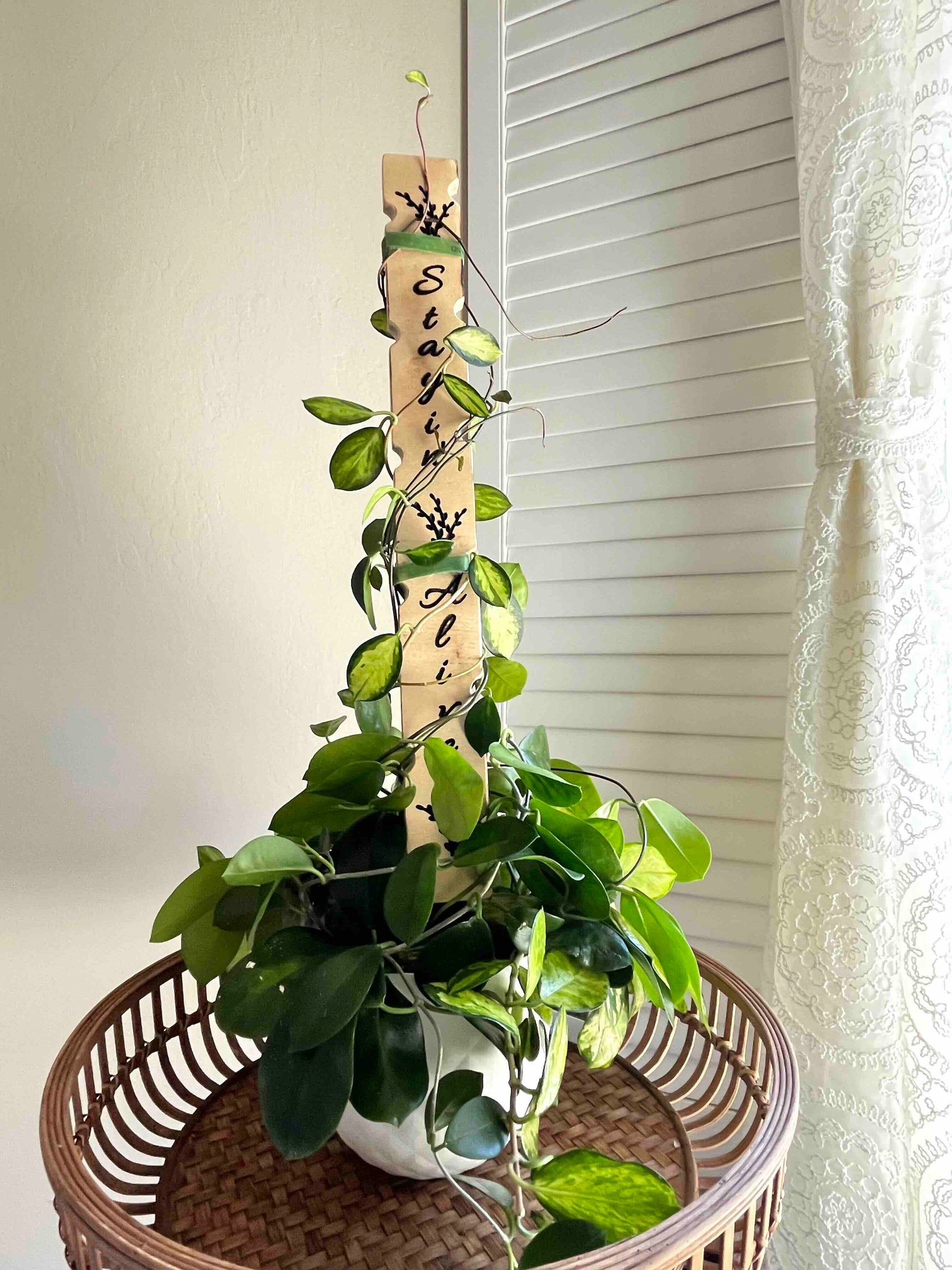 Decorative plant stake carved in wood