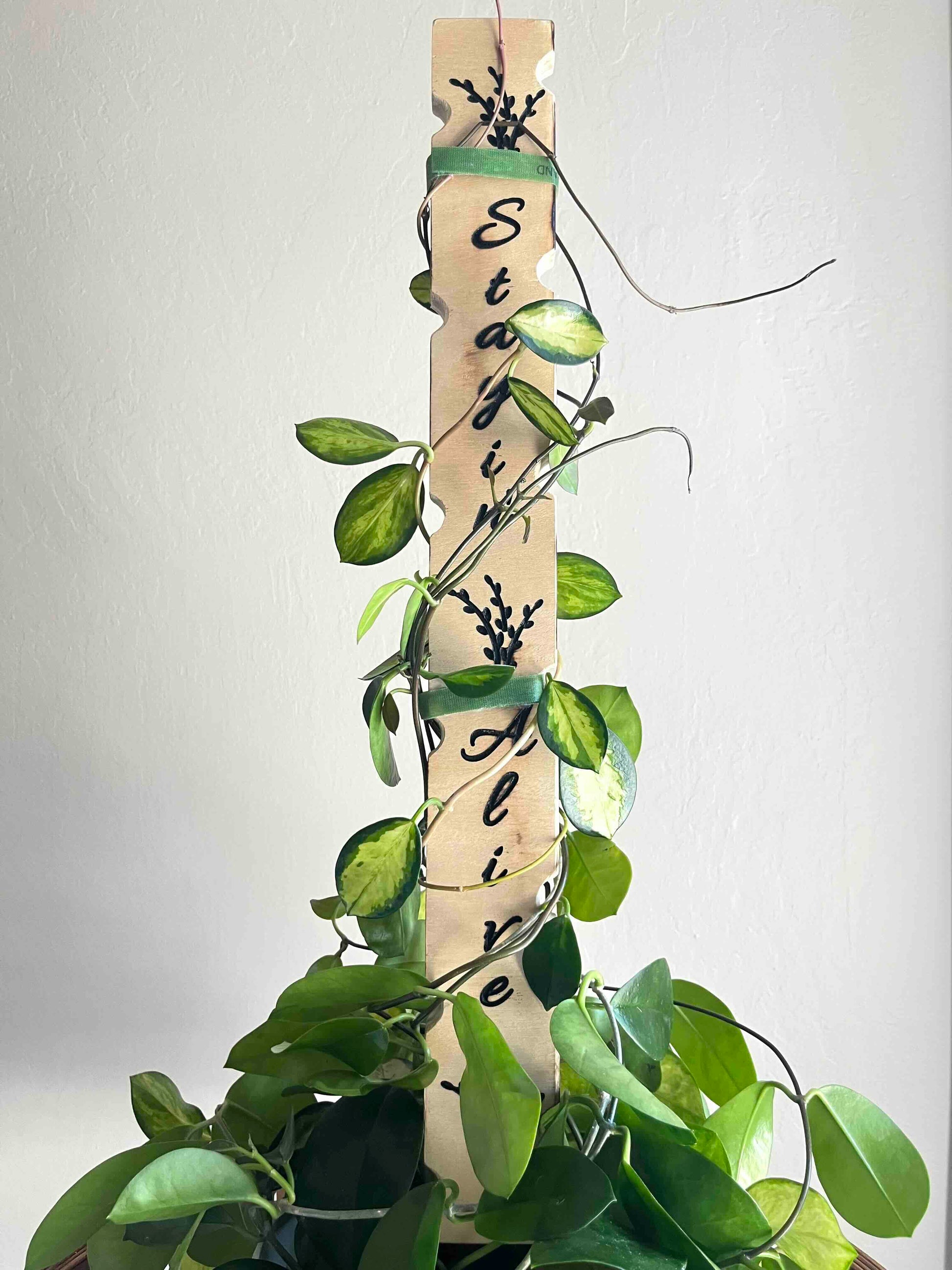 Decorative plant stake carved in wood