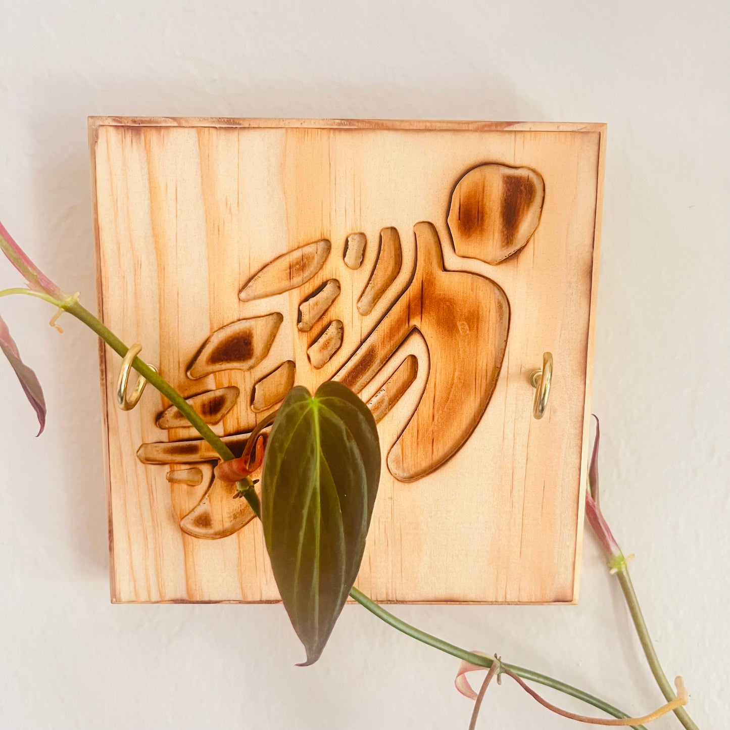 Wooden_wall_trellis_for_plants_or key holder with_Turtle design