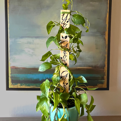 You Grow Girl - Decorative Plant Trellis