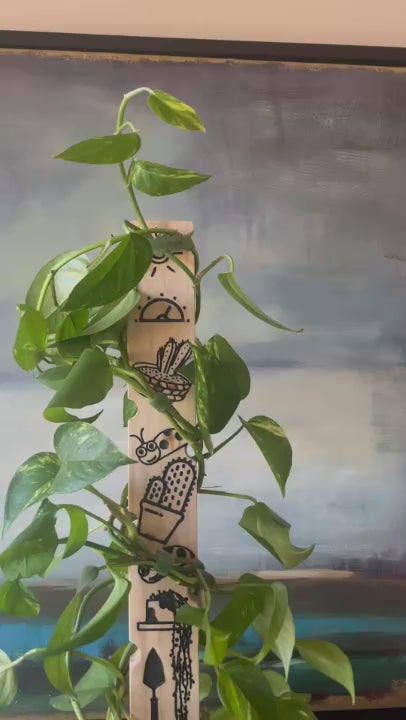 You Grow Girl - Decorative Plant Trellis