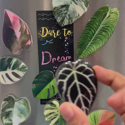Plant leaf fridge magnets